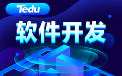 软件开发